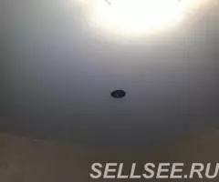 Ремонт квартиры, обои, покраска, ламинат, и др - 3