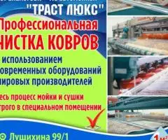 Профессиональная чистка ковров Траст Люкс