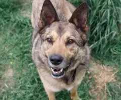 Когда меня ты позовешь. .. - 2