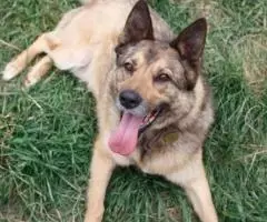 Когда меня ты позовешь. .. - 3