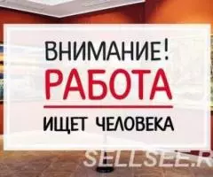 Менеджер по развитию сети интернет - магазинов.