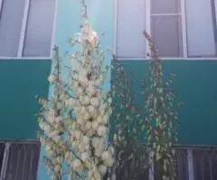 Продаю  дом , 200 кв.м , кирпичный - 2