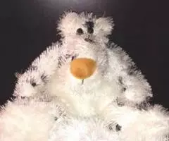 Забавный белый медведь-далматинец - 2