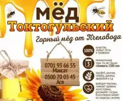 Токтогульский мед Токтогульский мед Токтогульский мед