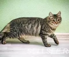 Сестрички Сара и Зара ищут родителей - 4