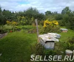 Продаю дача , 10 кв.м , деревянный - 4