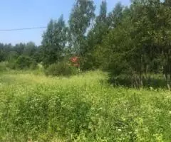 Продам участок ИЖС в 7 км от г Выборга - 2