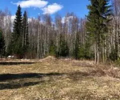 Продам участок рядом с г Выборгом - 2