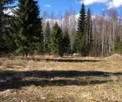 Продам участок рядом с г Выборгом - 3