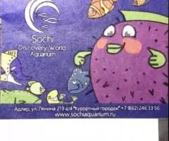 Билет в Сочинский Океанариум Адлер 2016 г - 2