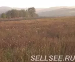 п. Ильский, з у 50 сот. с н - 2