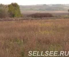 п. Ильский, з у 50 сот. с н - 3