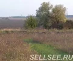 п. Ильский, з у 50 сот. с н - 4