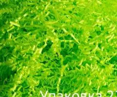 Наполнитель для коробок бумажный неон в ассортименте. - 3