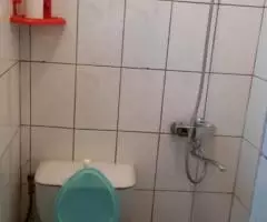 У Колоннады Кисловодска 2 гостя - 4