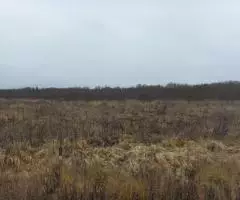 Земельный участок 12,8 Га в дер. Капшино Калязинского района Тверской области - 2