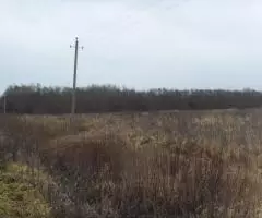 Земельный участок 12,8 Га в дер. Капшино Калязинского района Тверской области - 3