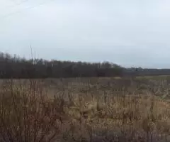 Земельный участок 12,8 Га в дер. Капшино Калязинского района Тверской области - 4