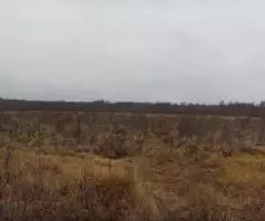 Земельный участок 12,8 Га в дер. Капшино Калязинского района Тверской области - 5