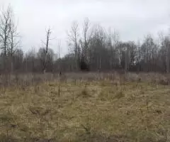 Земельный участок 2,5451 Га в районе дер. Волнога Калязинского района Тверской области - 3