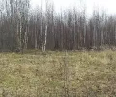 Земельный участок 2,5451 Га в районе дер. Волнога Калязинского района Тверской области - 4