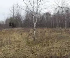 Земельный участок 2,5451 Га в районе дер. Волнога Калязинского района Тверской области - 5