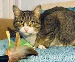 Скромная и нежная Пиаф. - 2