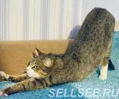 Скромная и нежная Пиаф. - 3