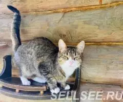 Скромная и нежная Пиаф. - 4