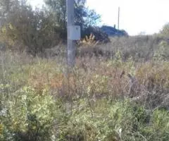 Любимцево. Участок 30 соток. ИЖС. 15 кВт. Подъезд. Природа. ... - 3