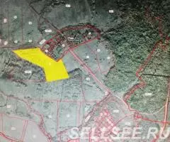 Мишутино. Участок 17 Га. Граничит с дер. Лес. Дорога. - 2