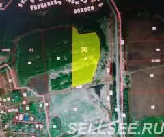 Кичибухино. Участок 5,4 Га. Лес. Жил дер. Асфальт. - 2