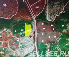 Кичибухино. Участок 5,4 Га. Лес. Жил дер. Асфальт. - 3