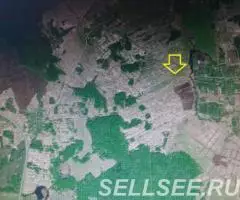 Нила. Участок 10 Га. Жил село. Рядом с трассой М8. - 3