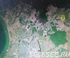 Нила. Участок 10 Га. Жил село. Рядом с трассой М8. - 4