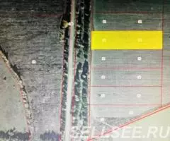 Андрианово. Участок 6,6 Га. Газ. Подъезд асфальт. Река. Лес. - 2