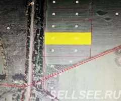 Андрианово. Участок 6,6 Га. Газ. Подъезд асфальт. Река. Лес. - 4