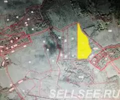 Мишутино. Участок 13,7 Га. Жил дер. Лес. Дорога. - 2