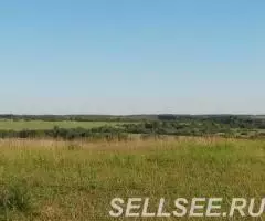 Ефимьево. Участок 20 соток. ИЖС. Пруд. Лес. Рядом ЖД, ... - 4