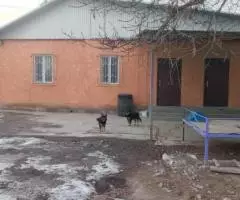 Продаю 2-комн квартиру, 144 кв м - 4