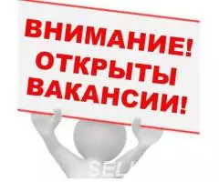 Требуется помощница в интернет магазин.