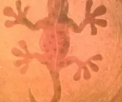 Декоративная тарелка Ящерка - 3