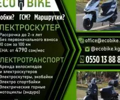 EcoBike Электроскутеры