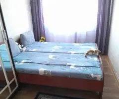 сдам 2к кв. пр. Дружбы 59 - 7