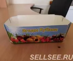 Картонная упаковка- лоток для ягоды
