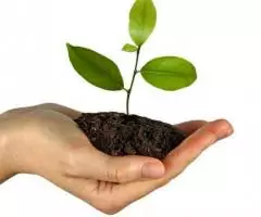 Продаются калифорнийские красные черви и биогумус - 2