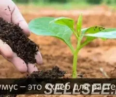 Продаются калифорнийские красные черви и биогумус - 4