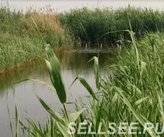 Земельные участки в лимано-плавневой зоне, для рыбалки и ... - 3