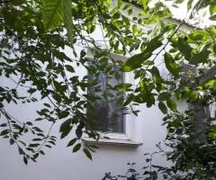 Продаю  дом , 55.4 кв. м , блочный - 7