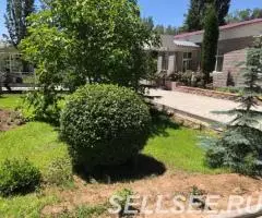 Оздоровительный комплекс Солнечный - 3